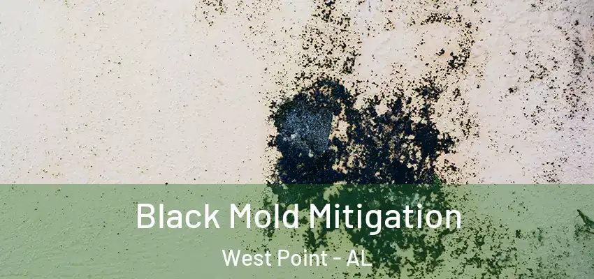 Black Mold Mitigation West Point - AL