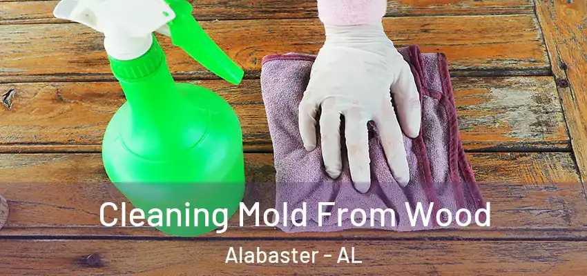  Cleaning Mold From Wood Alabaster - AL