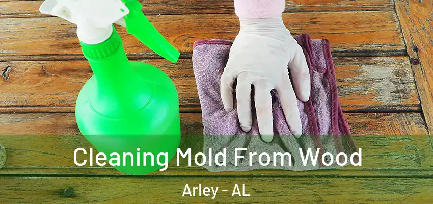 Cleaning Mold From Wood Arley - AL