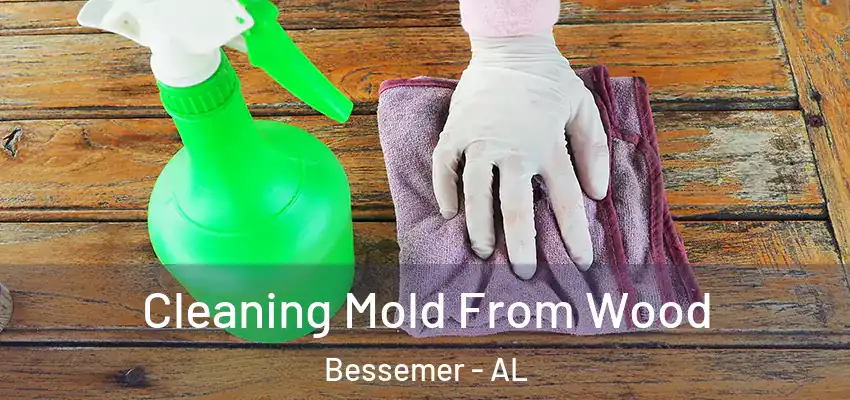  Cleaning Mold From Wood Bessemer - AL