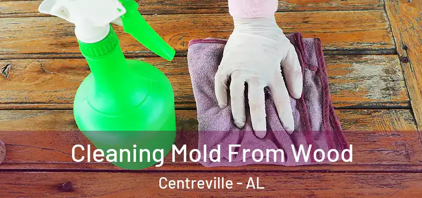 Cleaning Mold From Wood Centreville - AL