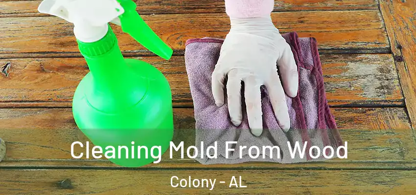  Cleaning Mold From Wood Colony - AL