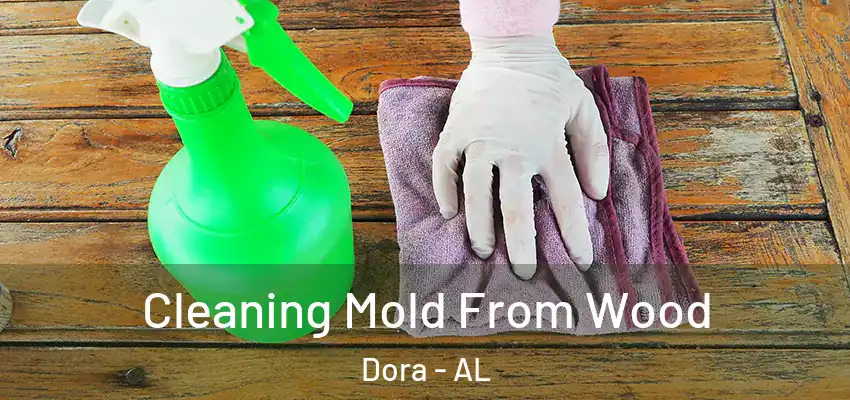  Cleaning Mold From Wood Dora - AL
