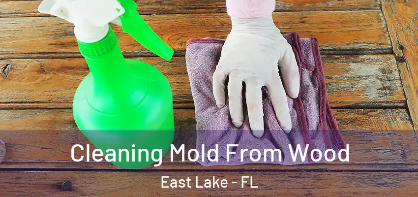  Cleaning Mold From Wood East Lake - FL