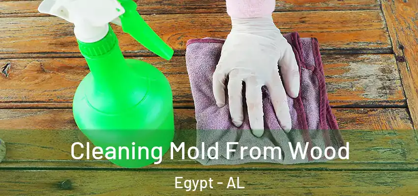  Cleaning Mold From Wood Egypt - AL