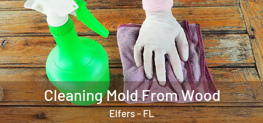  Cleaning Mold From Wood Elfers - FL
