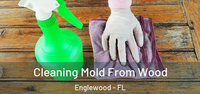  Cleaning Mold From Wood Englewood - FL