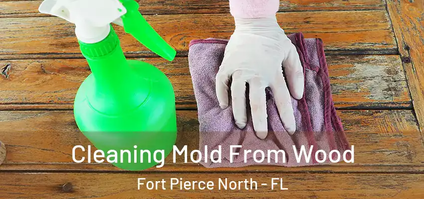  Cleaning Mold From Wood Fort Pierce North - FL