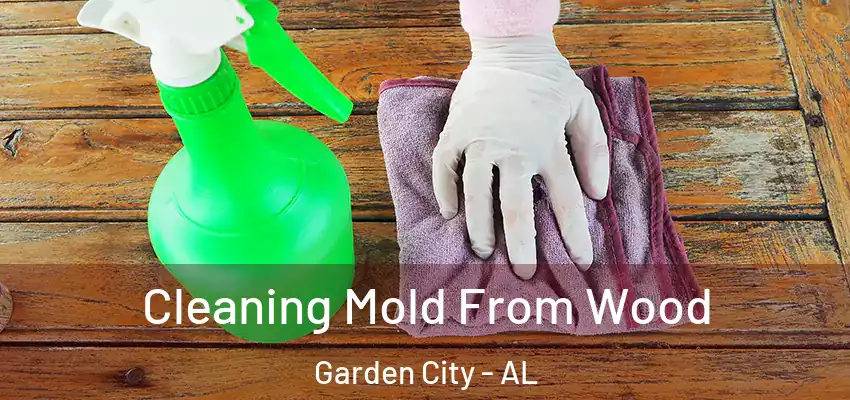  Cleaning Mold From Wood Garden City - AL