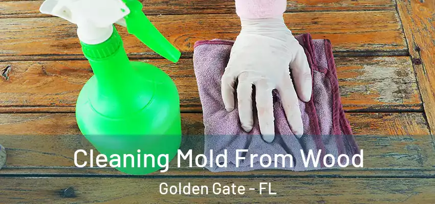  Cleaning Mold From Wood Golden Gate - FL