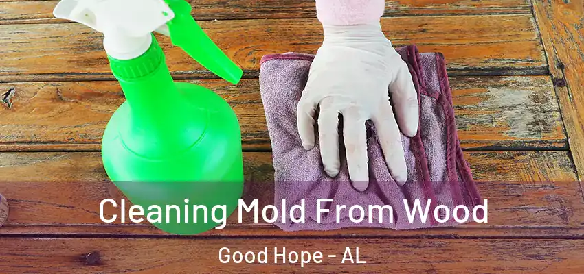 Cleaning Mold From Wood Good Hope - AL
