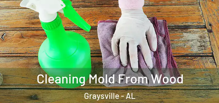  Cleaning Mold From Wood Graysville - AL