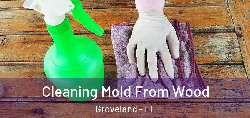 Cleaning Mold From Wood Groveland - FL