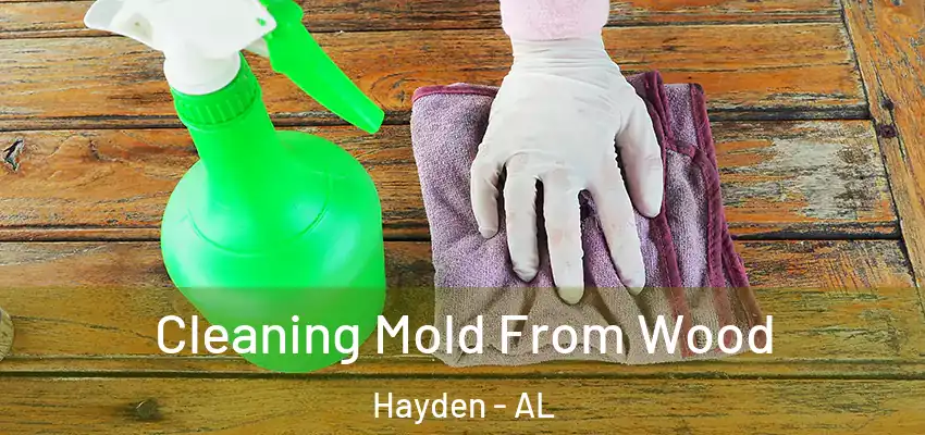  Cleaning Mold From Wood Hayden - AL