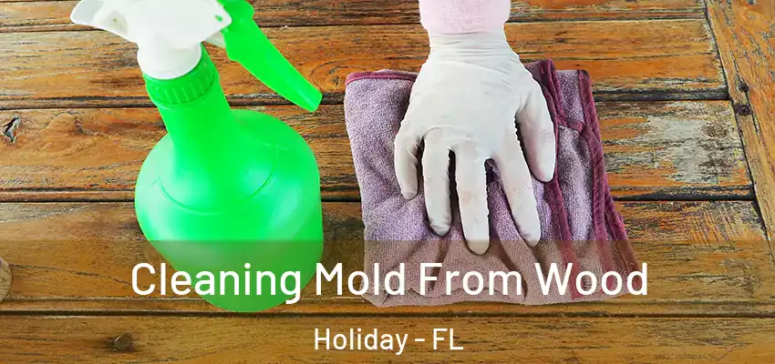  Cleaning Mold From Wood Holiday - FL