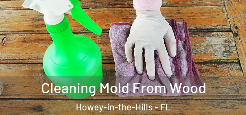  Cleaning Mold From Wood Howey-in-the-Hills - FL
