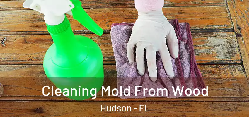Cleaning Mold From Wood Hudson - FL