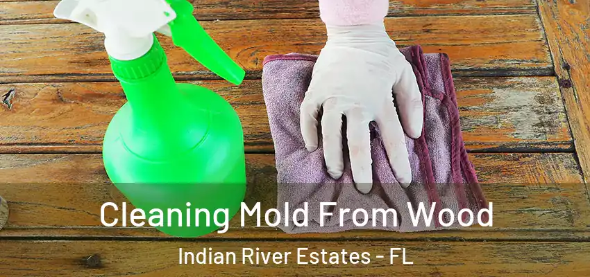 Cleaning Mold From Wood Indian River Estates - FL