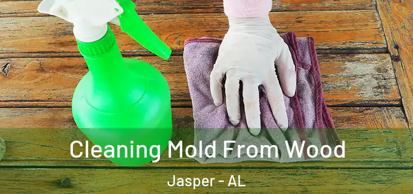 Cleaning Mold From Wood Jasper - AL
