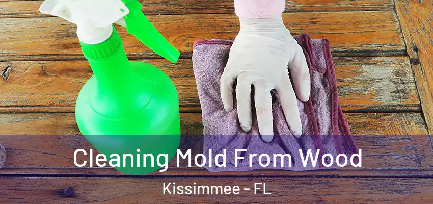 Cleaning Mold From Wood Kissimmee - FL
