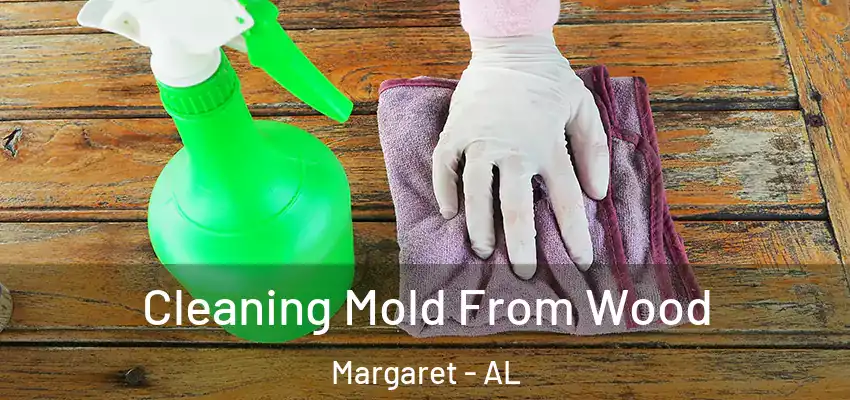  Cleaning Mold From Wood Margaret - AL