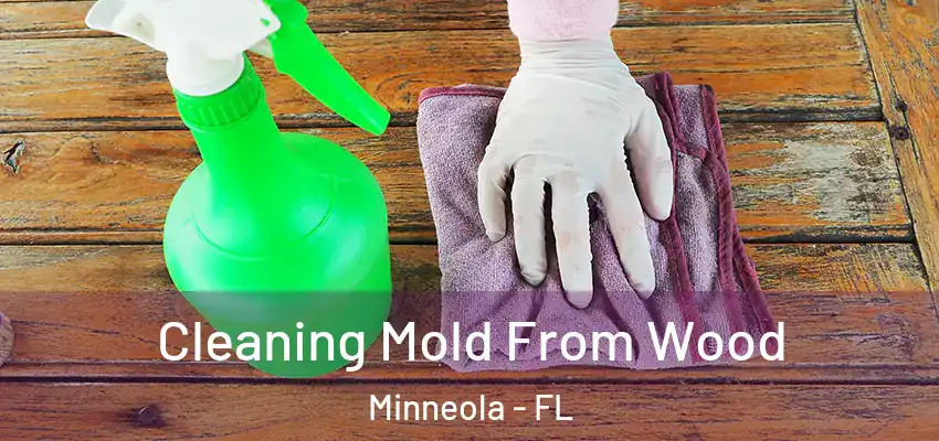 Cleaning Mold From Wood Minneola - FL