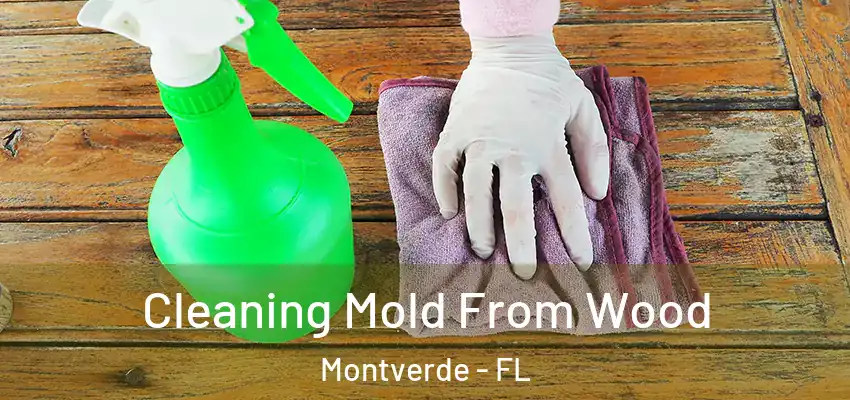Cleaning Mold From Wood Montverde - FL