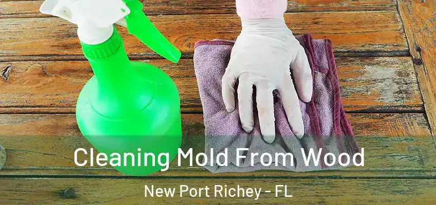  Cleaning Mold From Wood New Port Richey - FL