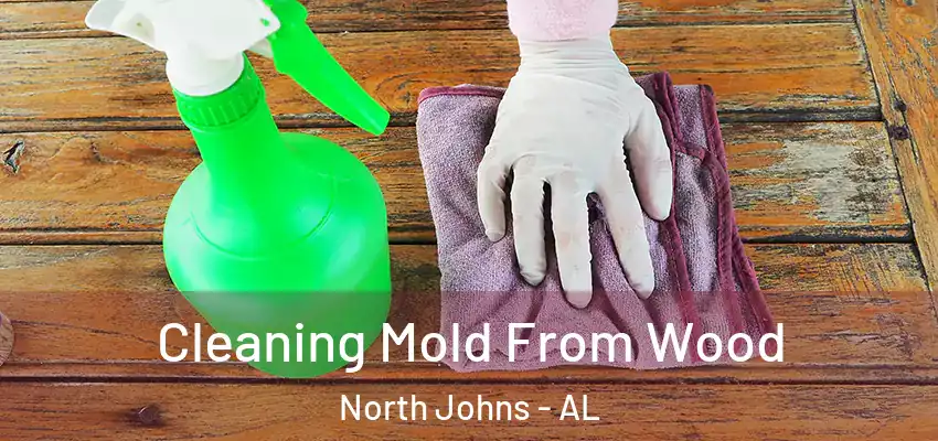 Cleaning Mold From Wood North Johns - AL