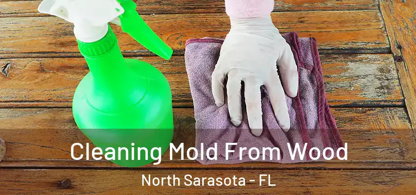 Cleaning Mold From Wood North Sarasota - FL