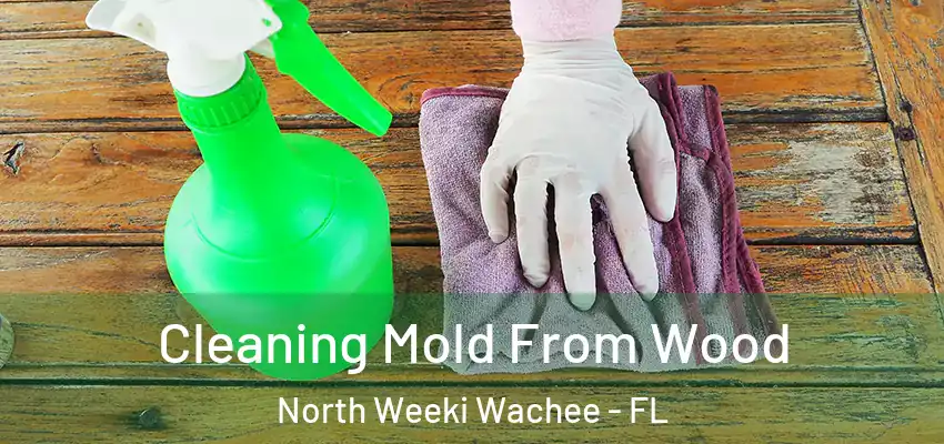 Cleaning Mold From Wood North Weeki Wachee - FL