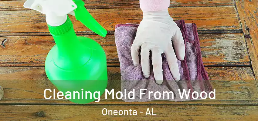  Cleaning Mold From Wood Oneonta - AL
