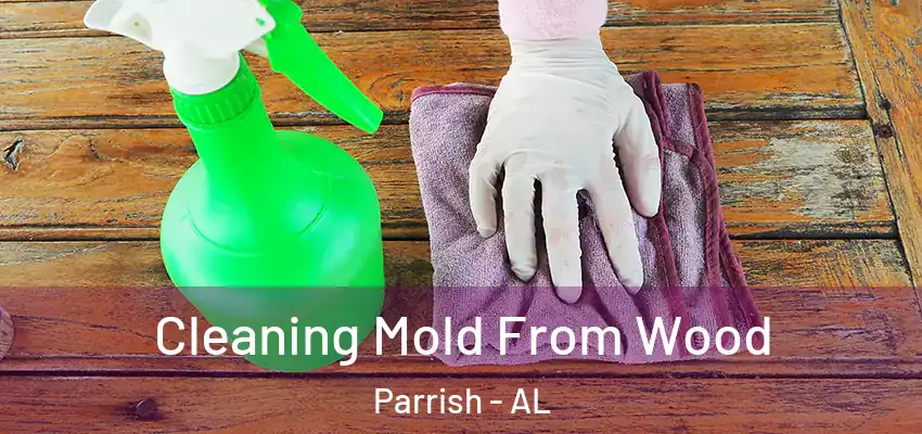 Cleaning Mold From Wood Parrish - AL