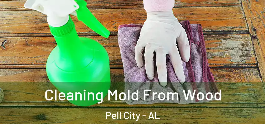  Cleaning Mold From Wood Pell City - AL