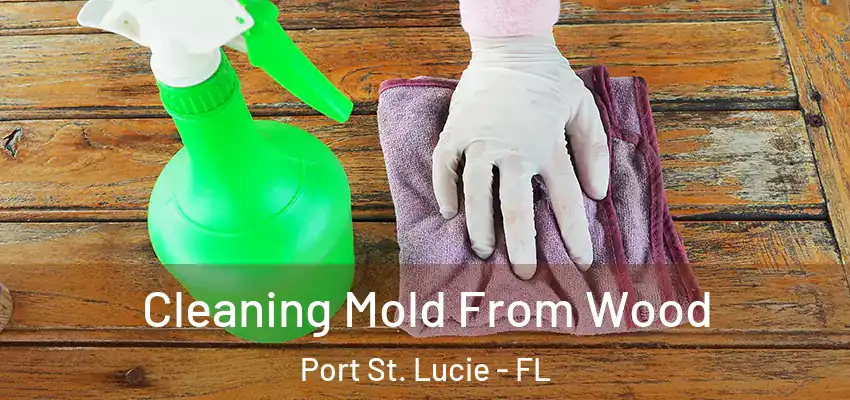  Cleaning Mold From Wood Port St. Lucie - FL