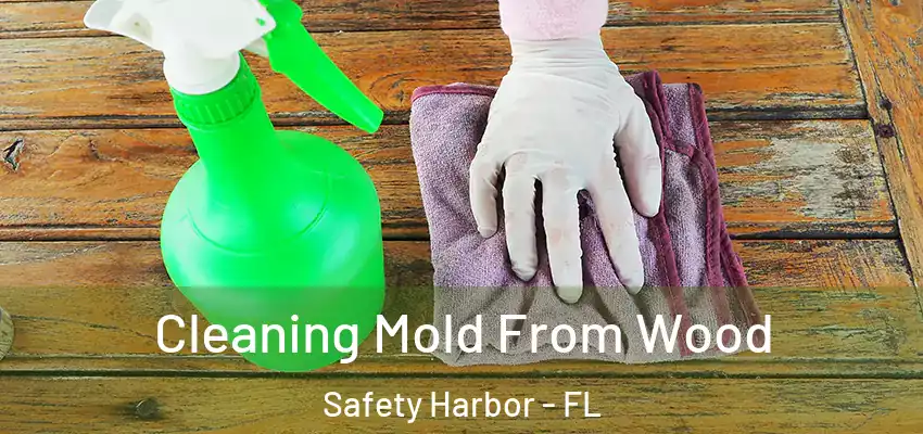  Cleaning Mold From Wood Safety Harbor - FL