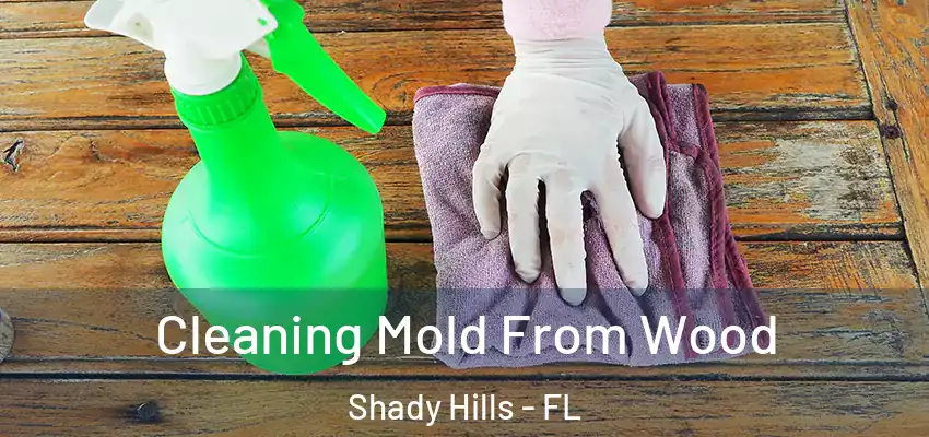  Cleaning Mold From Wood Shady Hills - FL