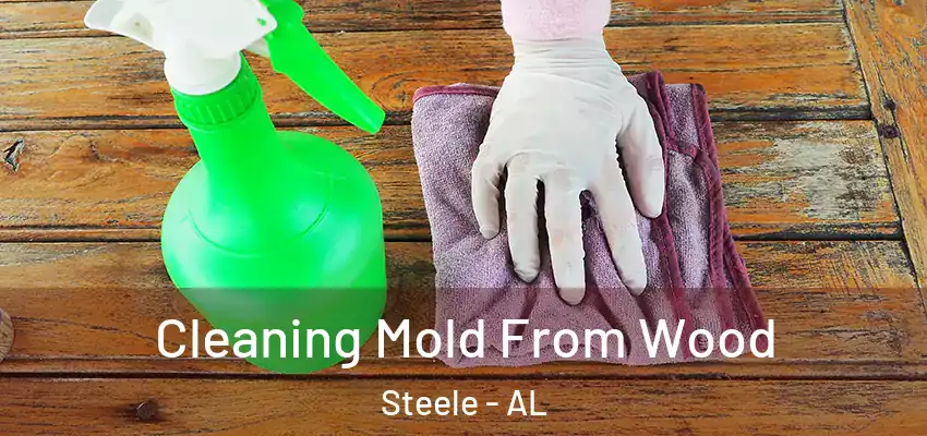  Cleaning Mold From Wood Steele - AL