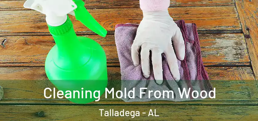Cleaning Mold From Wood Talladega - AL