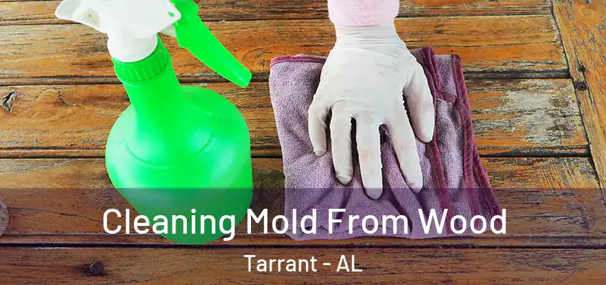  Cleaning Mold From Wood Tarrant - AL