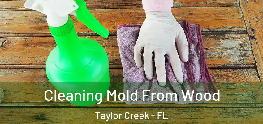 Cleaning Mold From Wood Taylor Creek - FL