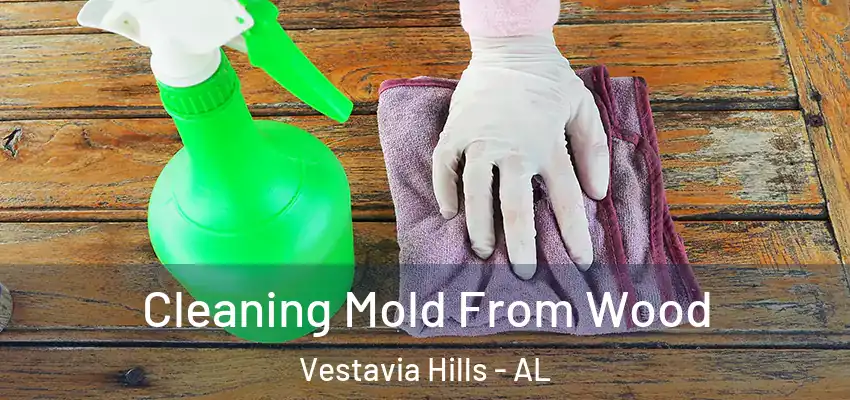  Cleaning Mold From Wood Vestavia Hills - AL