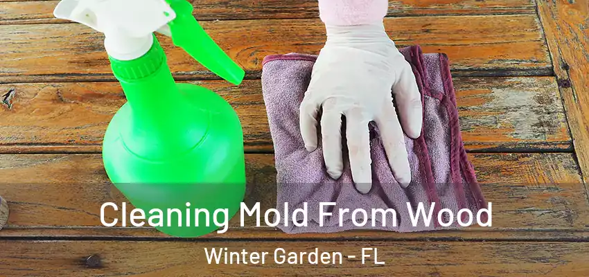  Cleaning Mold From Wood Winter Garden - FL