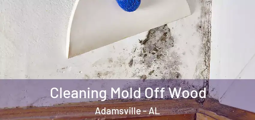  Cleaning Mold Off Wood Adamsville - AL