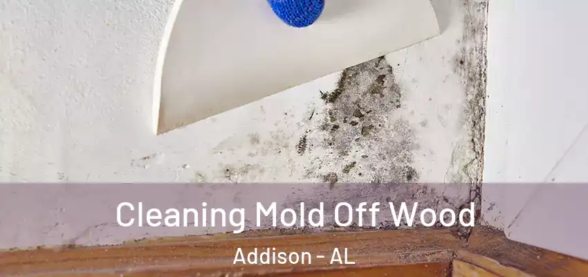  Cleaning Mold Off Wood Addison - AL