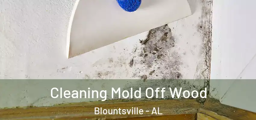  Cleaning Mold Off Wood Blountsville - AL