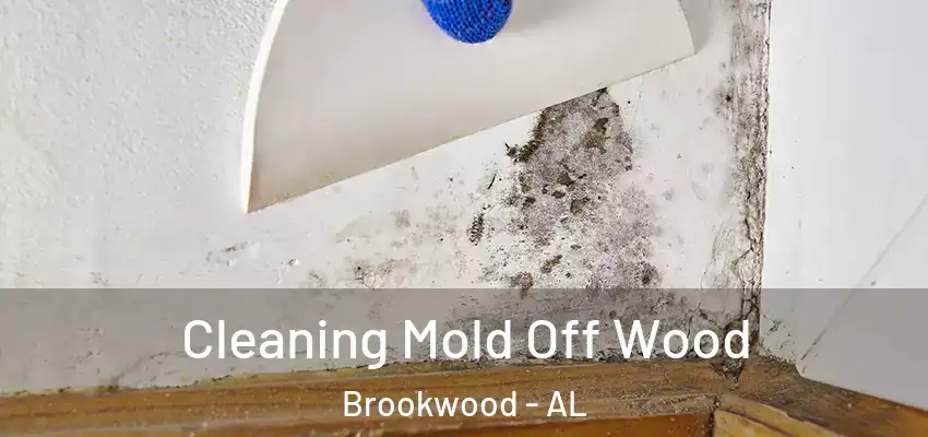  Cleaning Mold Off Wood Brookwood - AL