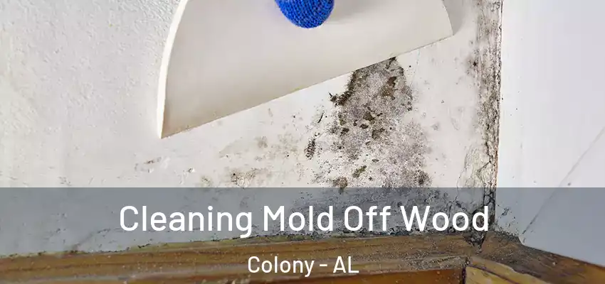  Cleaning Mold Off Wood Colony - AL