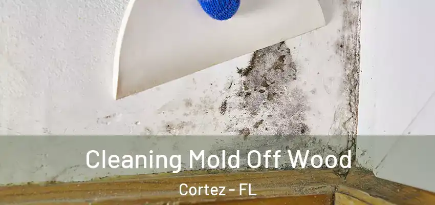  Cleaning Mold Off Wood Cortez - FL