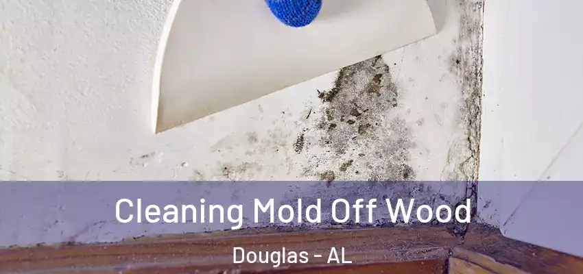 Cleaning Mold Off Wood Douglas - AL